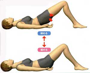 骨盤底筋エクササイズ（出典：姿勢の教科書、ナツメ社)
