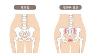 出産後の骨盤